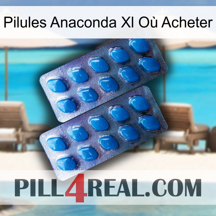 Pilules Anaconda Xl Où Acheter viagra2
